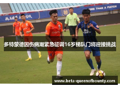 多特蒙德因伤病潮紧急征调16岁梯队门将迎接挑战